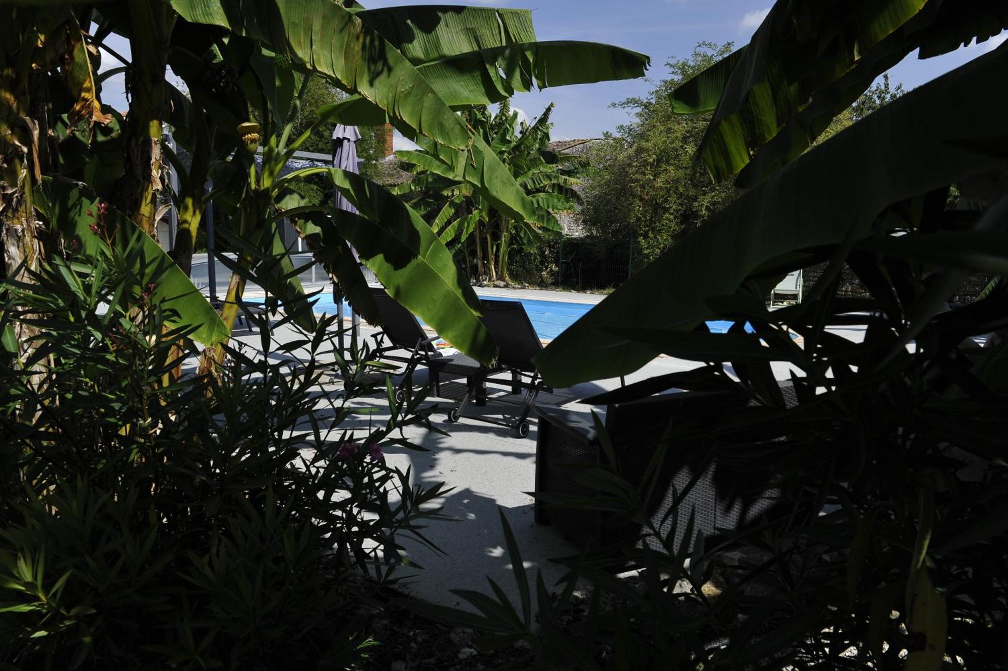 Jardin D'Arcy - Chambres D'Hotes Avec Piscine Et Spa Bois Εξωτερικό φωτογραφία